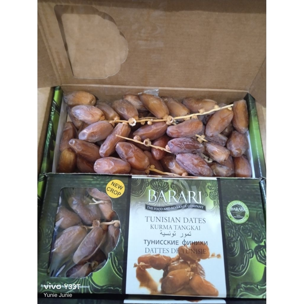 KURMA BARARI TANGKAI