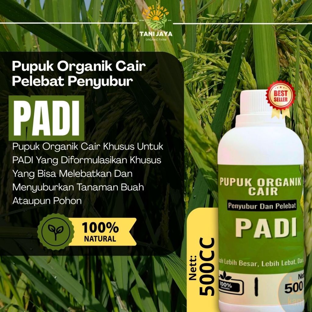 Pupuk Padi Sawah Pupuk Semprot Penyubur Padi Pupuk Cair Untuk Padi Pupuk Pelebat Buah Padi