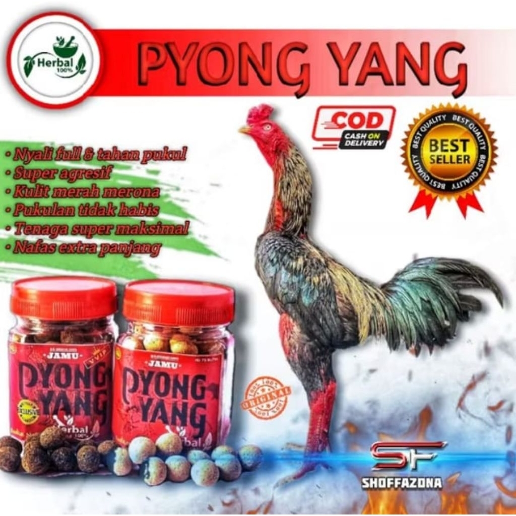 JAMU pyongyang ayam laga doping super kuat agresif nafas panjang