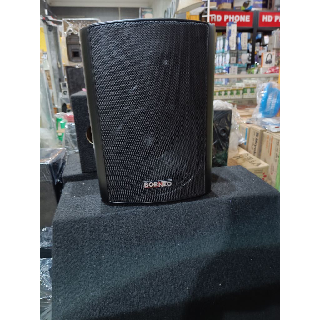 SPEAKER BORNEO 6,5" SP6B PASIF
