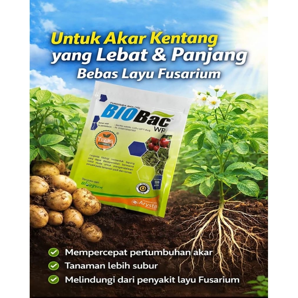 BIOBAC FUNGISIDA BIOLOGI (500 GR)