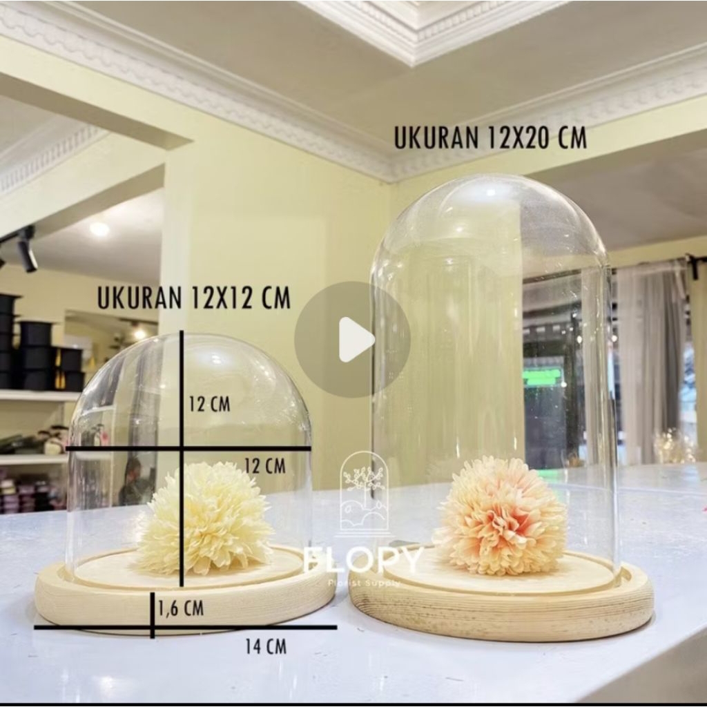 Glass Dome/ Vas Custom