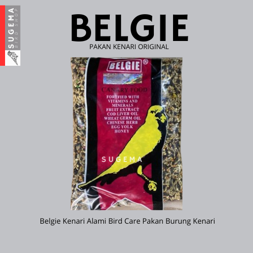Belgie Kenari Pakan Makanan Burung Kenari Super Belgie