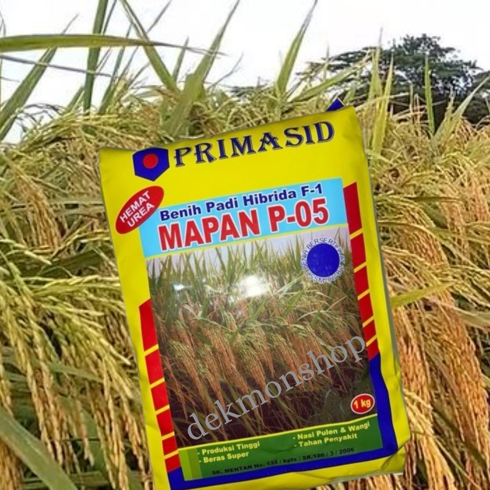 Benih Padi Bibit Mapan p05 Primasid Mapan 05 Hibrida 1kg