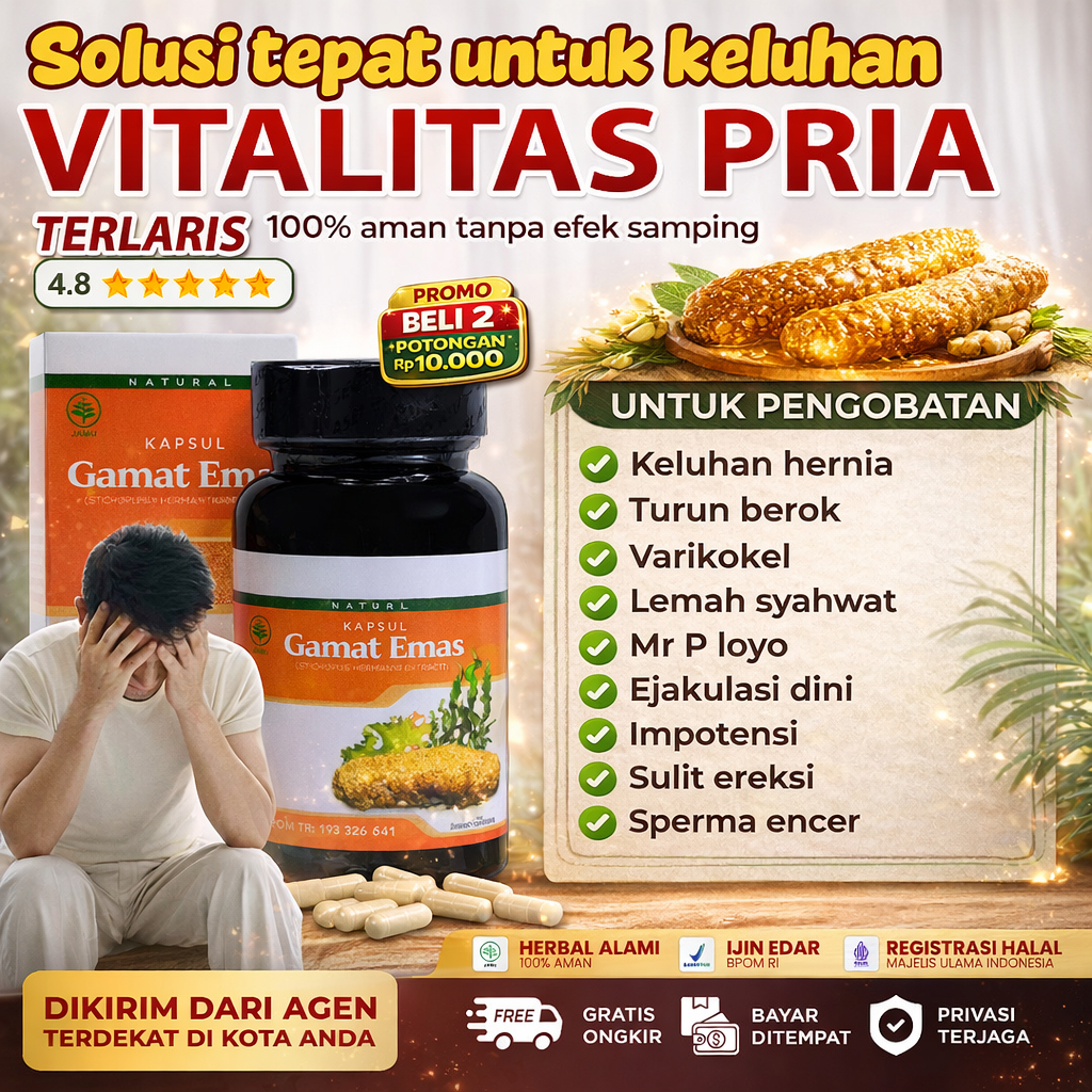 Obat Hernia Turun Berok Varikokel Lemah Syahwat Mr P Loyo Sperma Encer Gamat Emas Kapsul Original