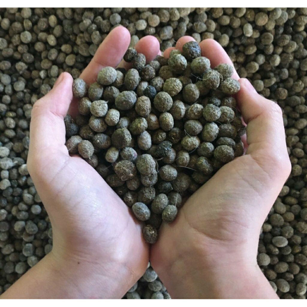 Kohe Kelinci / srintil / bribil kering 1kg