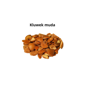 Kluwek Muda / Picung Muda Siap Olah 500 Gram Vacum Pack Blibar Lezat