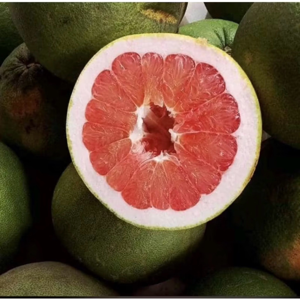 jeruk pamelo madu manis tanpa biji