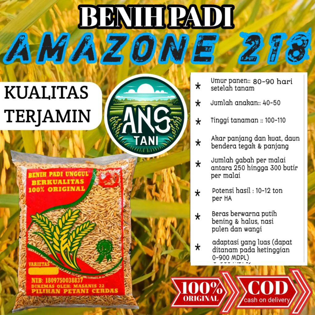 BENIH PADI UNGGUL AMAZONE 218 KEMASAN 1KG