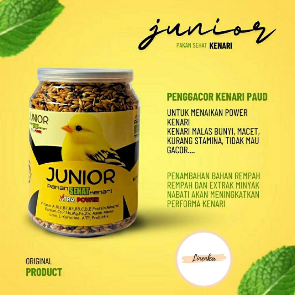 PAKAN SEHAT BURUNG KENARI GACOR JUNIOR MAKANAN BURUNG KENARI PAUD