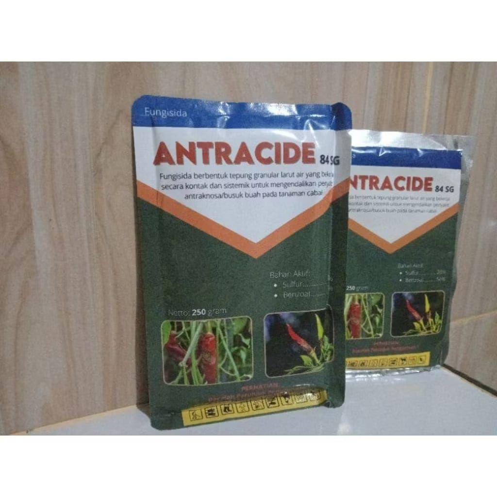 Fungisida Antracide 84 SG 250 GR
