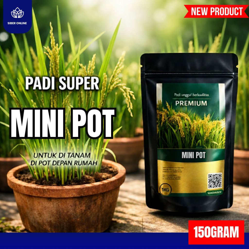 BENIH PADI UNGGUL MINI POT ( BENIH PADI UNGGUL BERKUALITAS)
