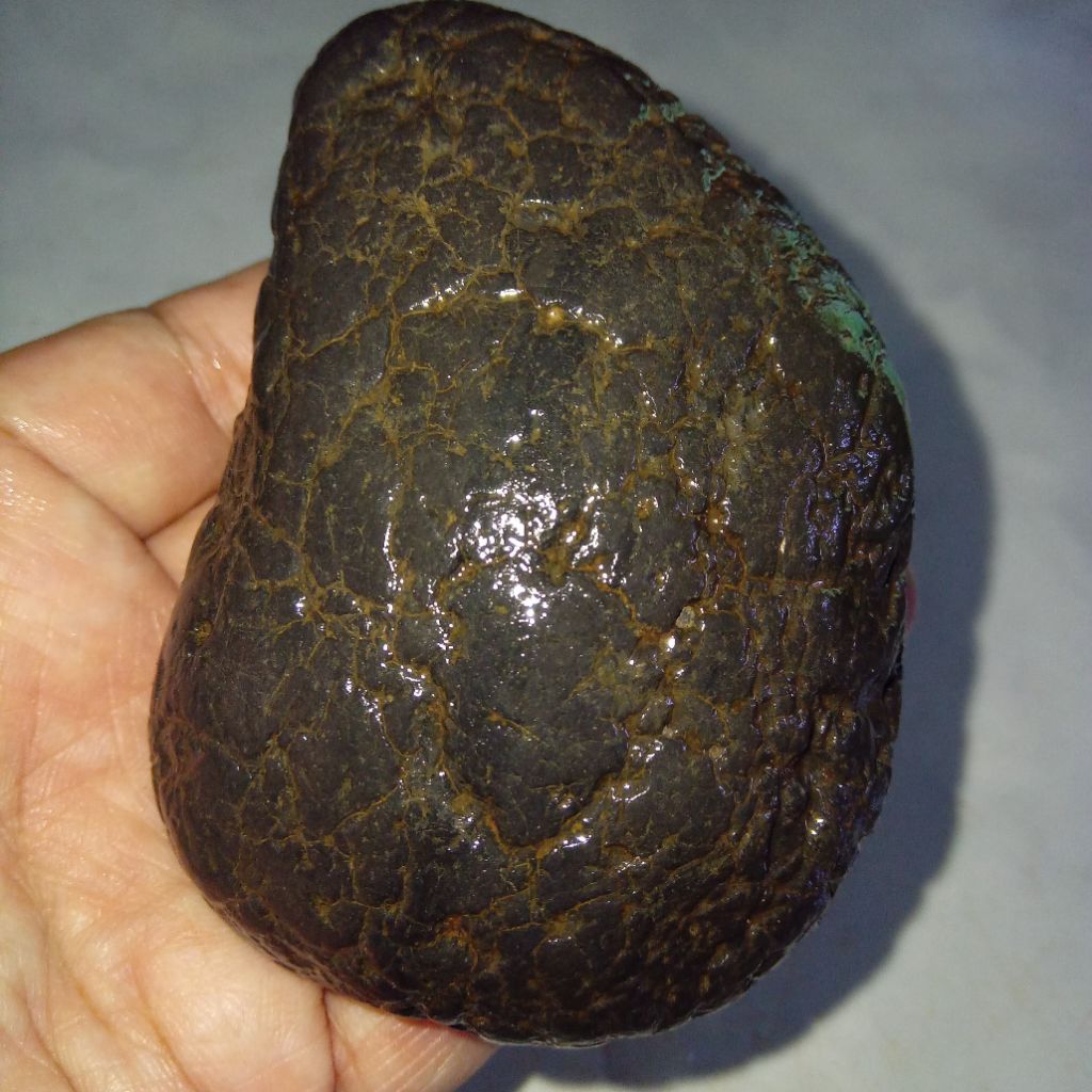 Original Batu Satam Big Size / Ukuran Jumbo