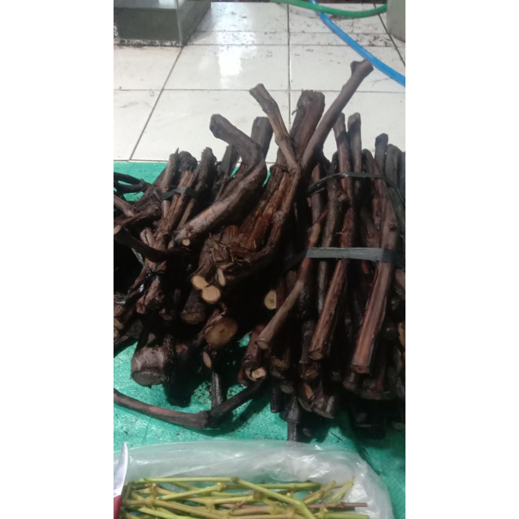 link cutting anggur