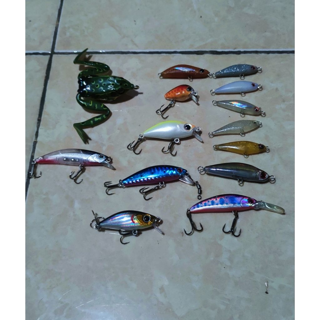 umpan casting hampala