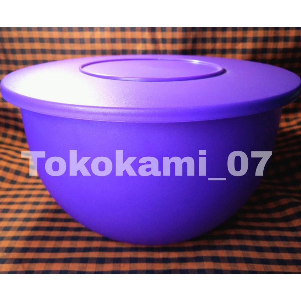 Expression Bowl Tupperware 4,3 Liter