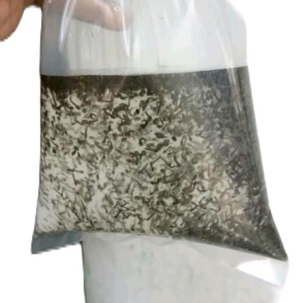 Aksesoris Aquarium Jentik Nyamuk Pakan Ikan Pakan Cupang Guppy Molly dan Anakan Ikan |Ikan Hias Bozz