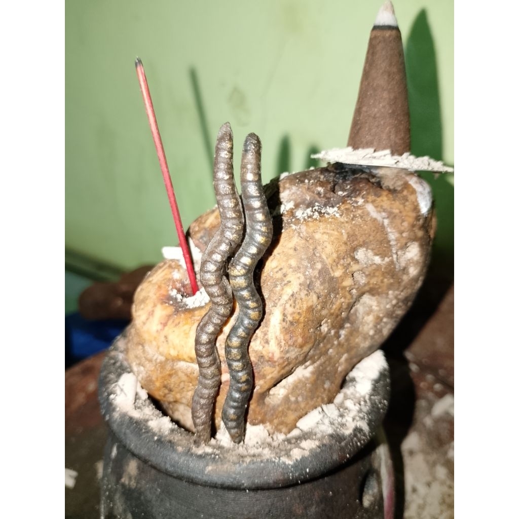 aksesoris cacingkanil cacing kanil