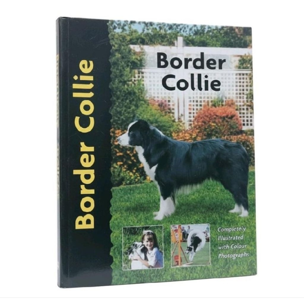 Pet Love: Border Collie