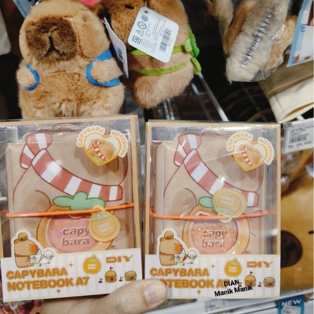 MR DIY - CAPYBARA  NOTEBOOK A7/ Buku catatan/Binder mini