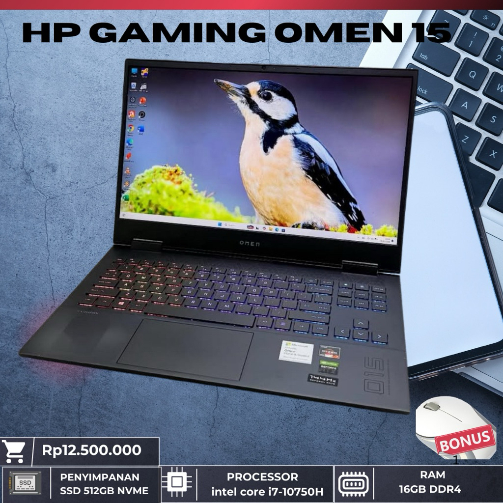 HP Gaming OMEN 15 Ryzen 7, RTX 2060