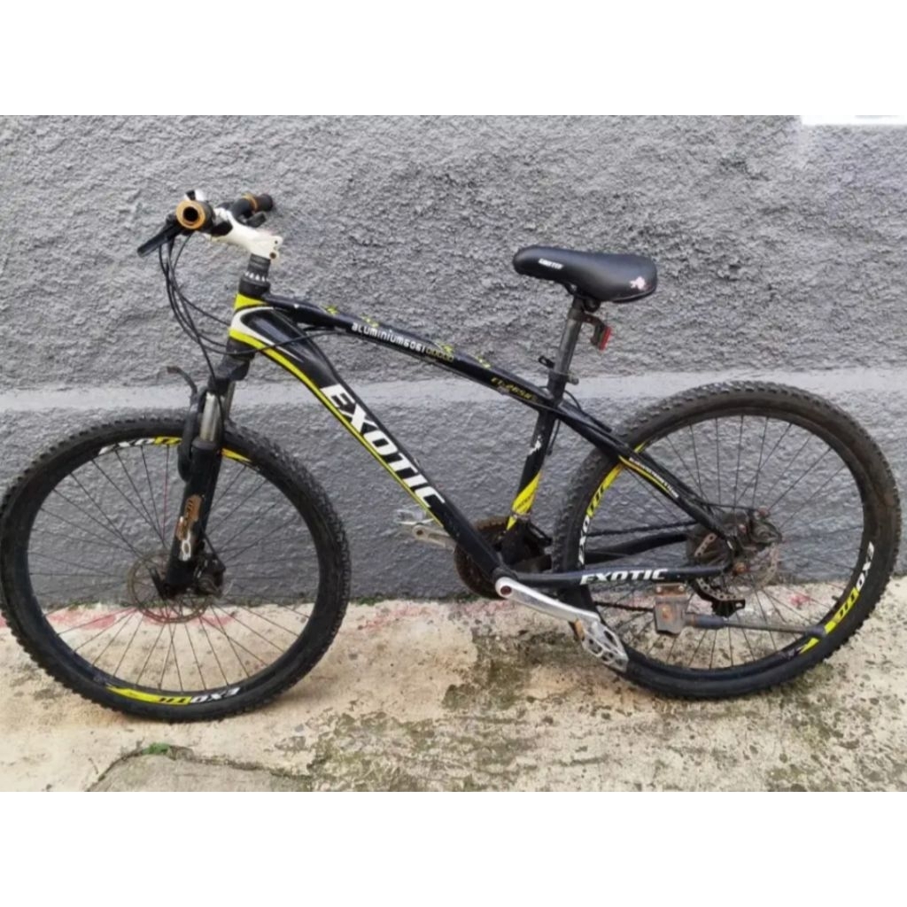 Sepeda Gunung MTB Exotic Star Sepeda Balap