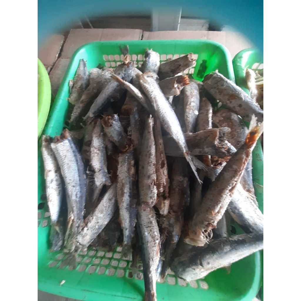 Ikan Asin Rebus Layang Khas Lampung Asin Gurih