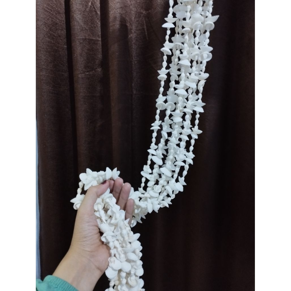 Tirai kerang jenis kor kor