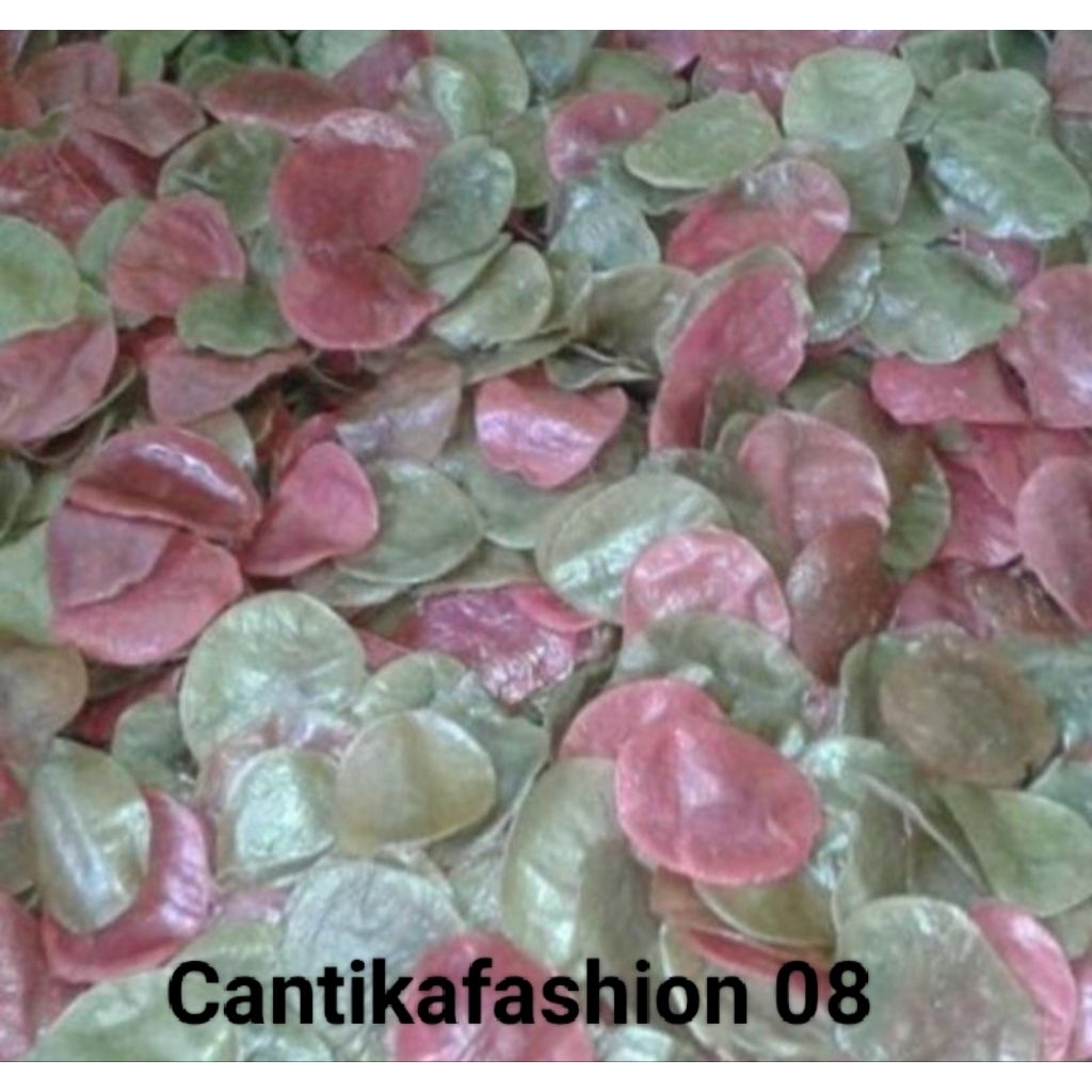 kerupuk opak Aci mentah khas Cirebon 1 kg