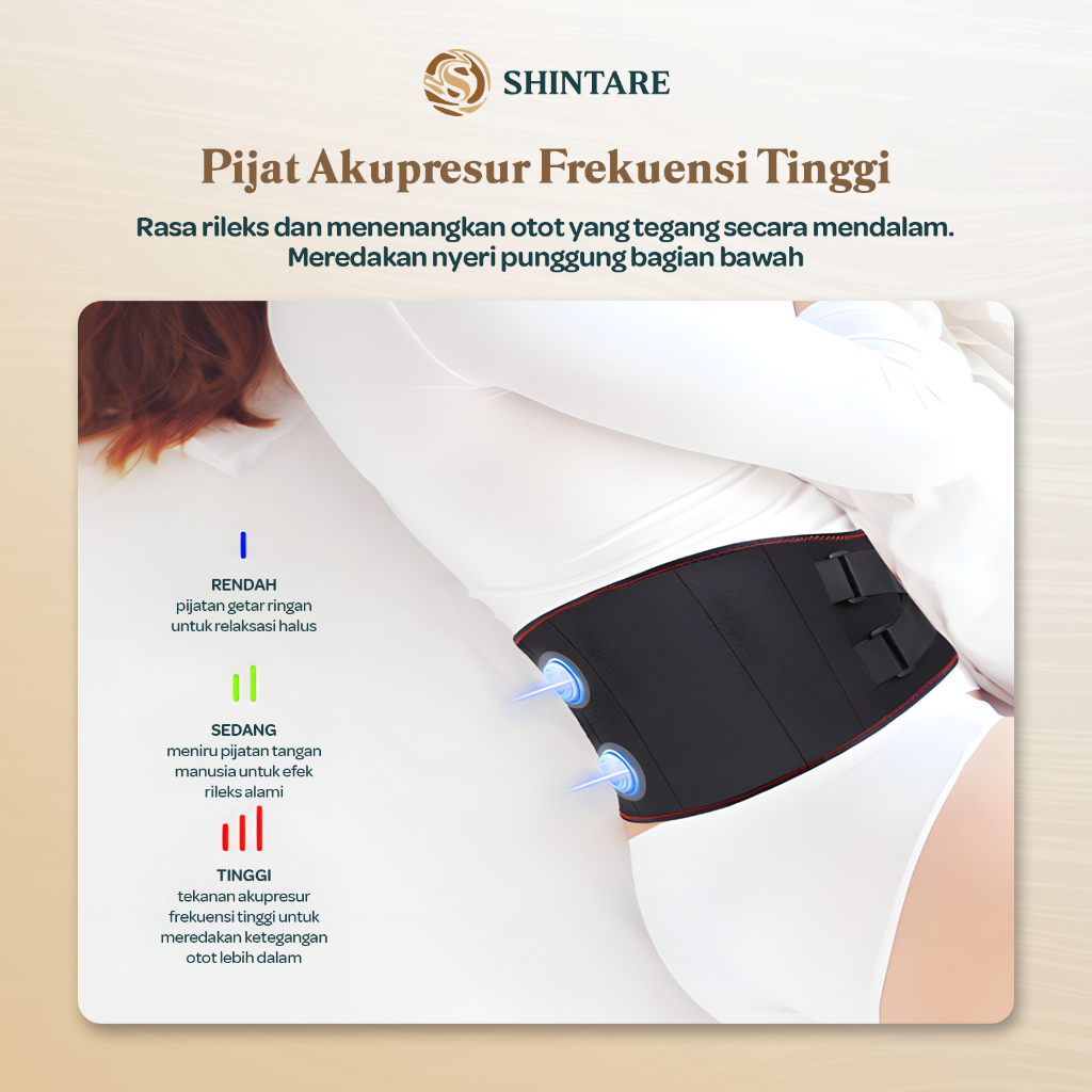 Shintare Electric Heating Belt D108 Sabuk Terapi Panas Listrik Pinggang Perut Pereda Nyeri Otot