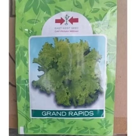 Benih Selada Panah Merah Grand Rapids