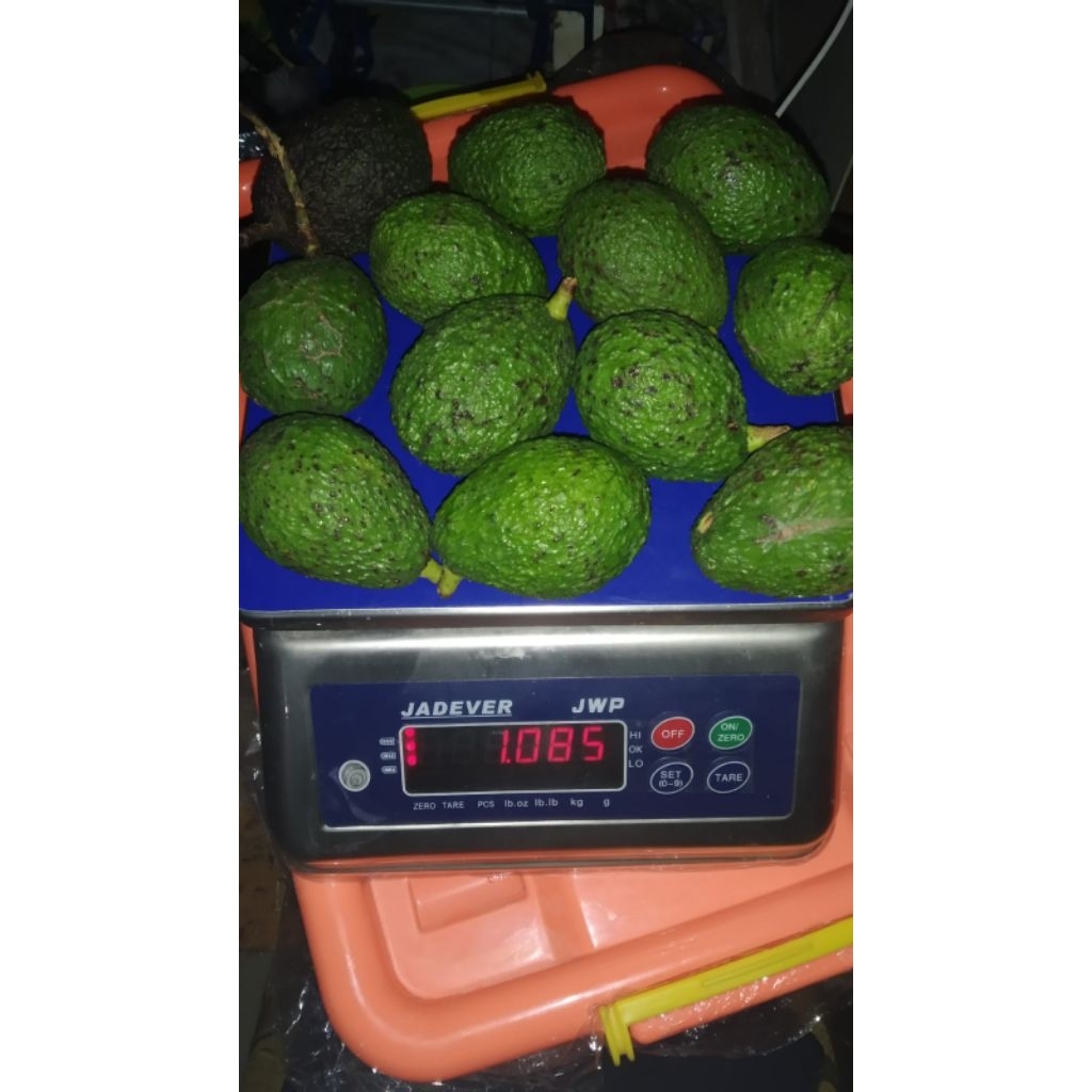 Alpukat Hass Fresh 1Kg
