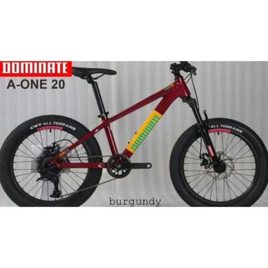 SEPEDA MTB ANAK DOMINATE AONE 20INCH