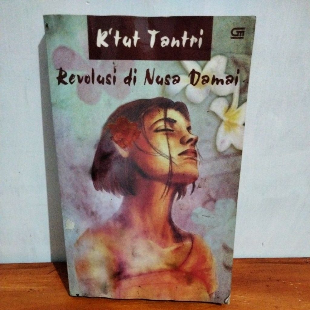 Novel Revolusi di Nusa Damai Ktut Tantri