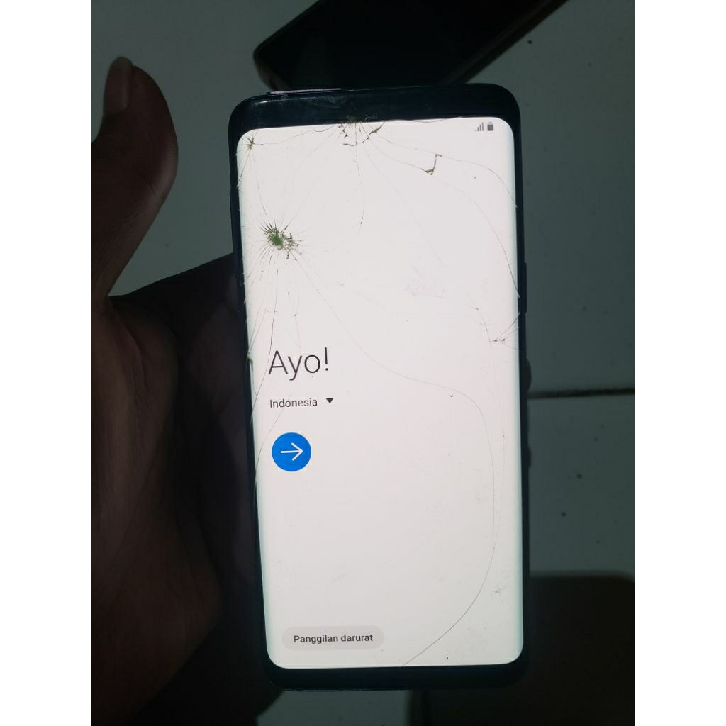 LCD Samsung S9 Normal Ori Cabutan