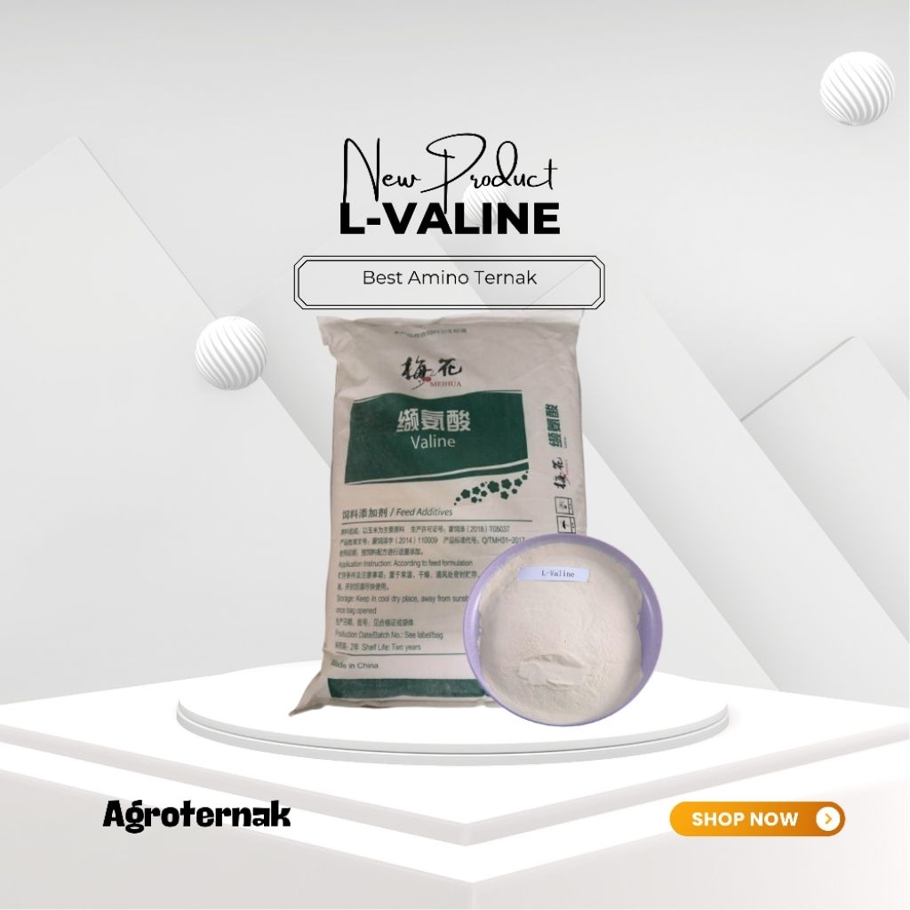 L-Valine Amino Suplemen Ternak untuk Pertumbuhan Ternak Unggas Babi Ikan