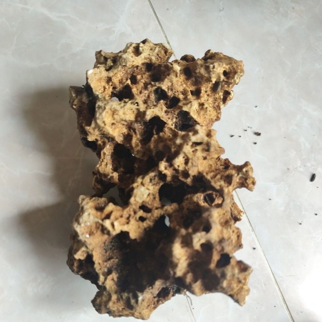 batu karang gunung berkarakter untuk bonsai, aquarium, aquascape