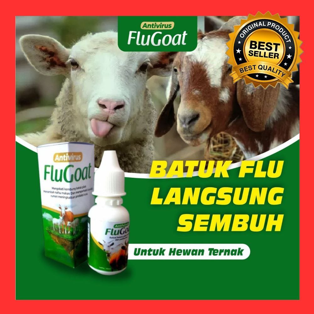 TERPERCAYA  Obat Flu Ayam Bangkok, Obat Flu Ayam Petelur, Obat Flu Ayam Kampung