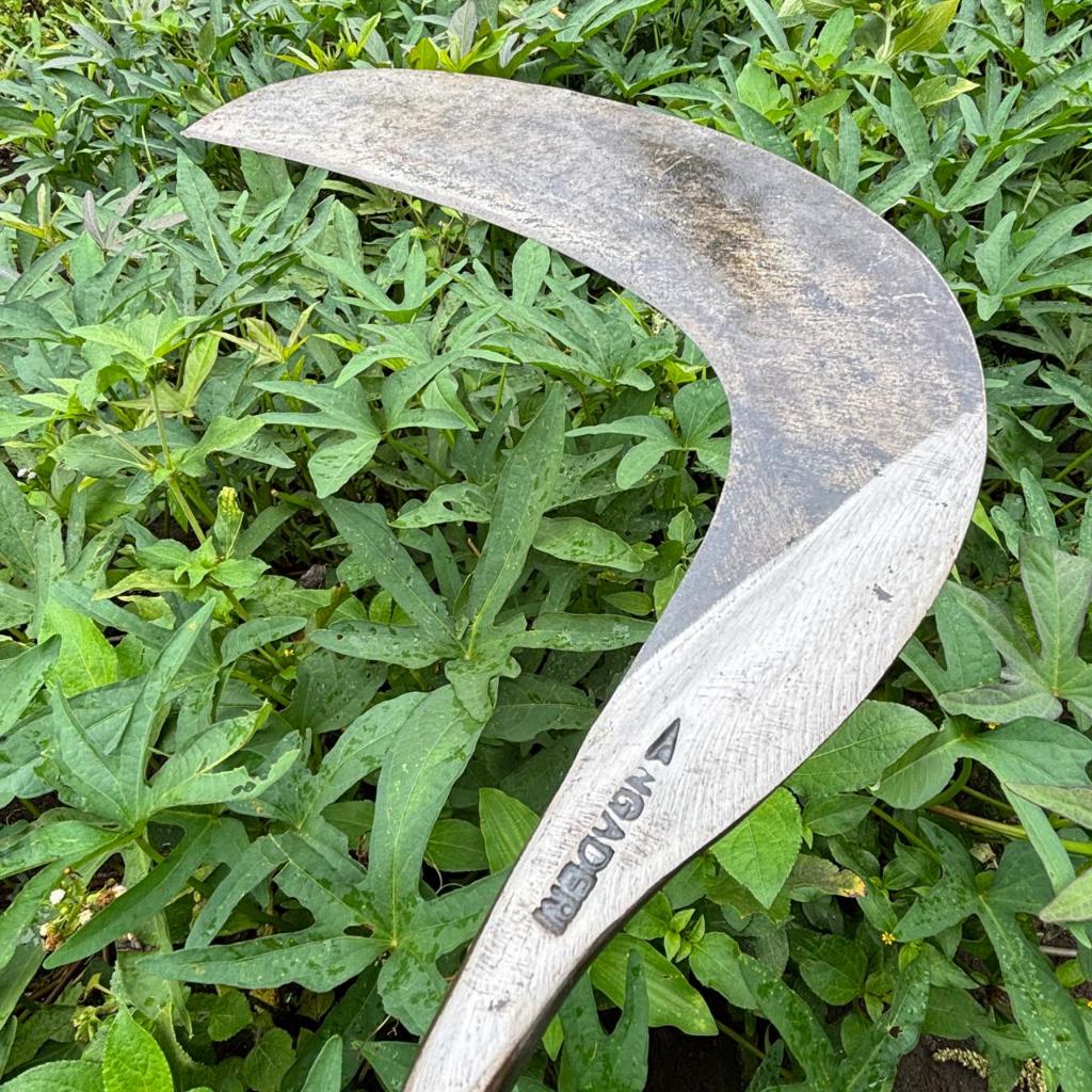 Arit Rumput Baja Isen Cap A NGADERI |Khusus Sabit Rumput dan Padi