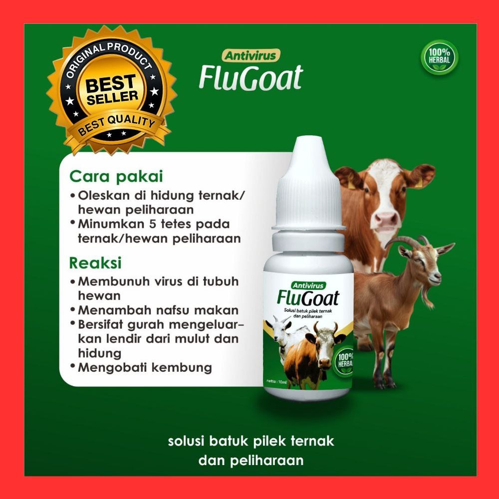 TERBAIK  Obat Flu Ayam Kampung, Obat Flu Ayam Paling Ampuh, Obat Flu Ayam Broiler