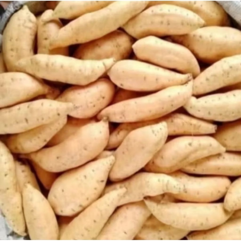 Ubi/Hui Cilembu Simadu 1kg isi 5-10 manis dan legit sangat cocok untuk diet anda