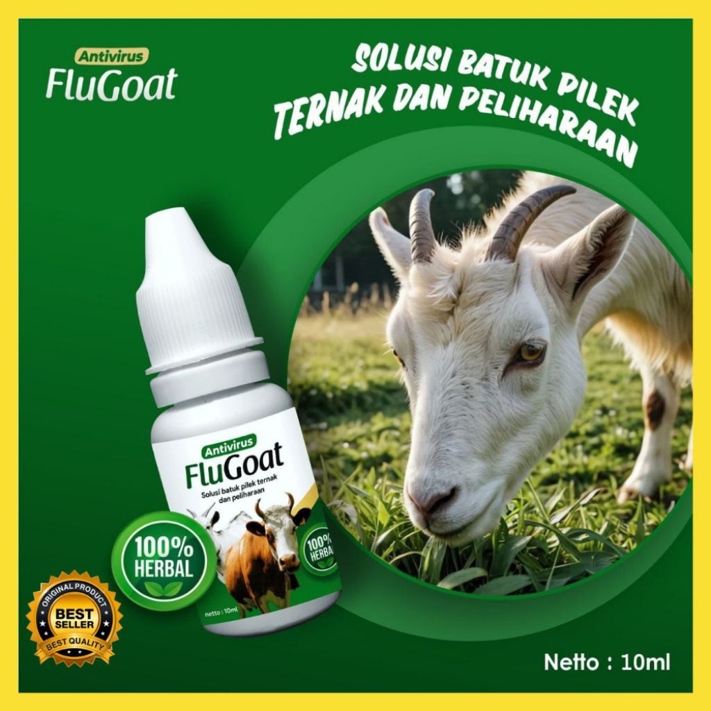 TERAMPUH  Obat Kambing Flu Alami, Obat Kambing Flu Batuk, Obat Kambing Flu Dan Batuk