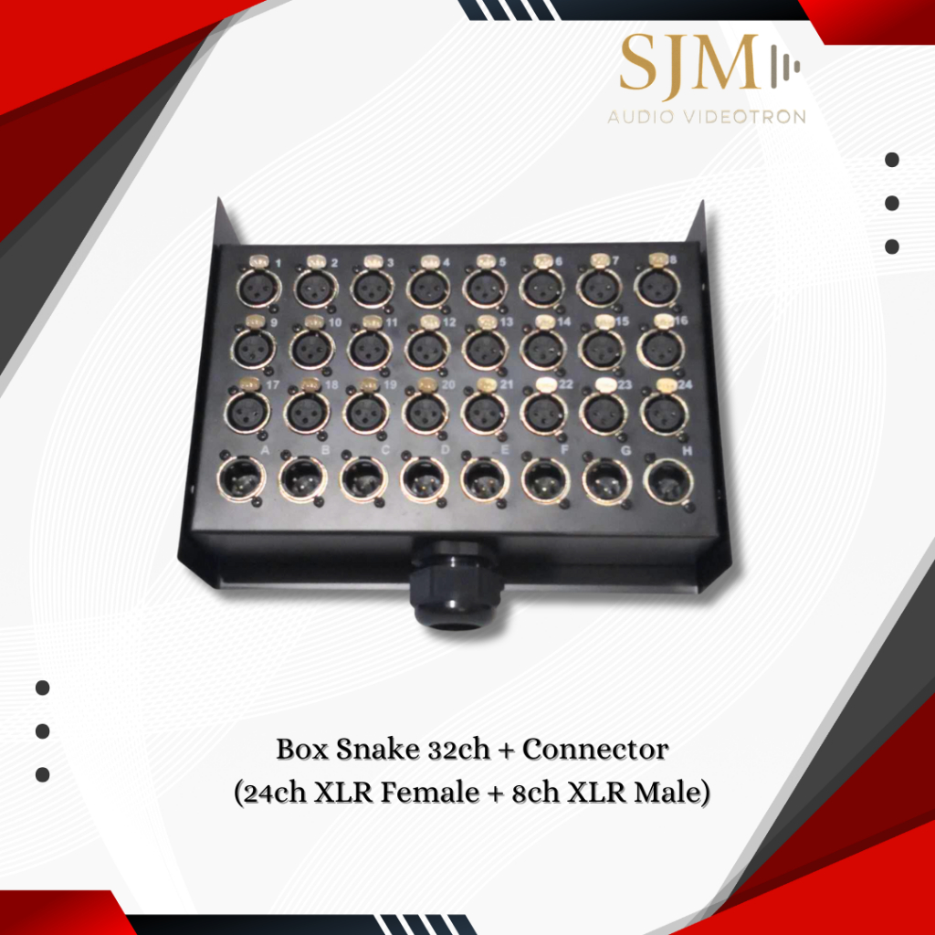 TERMINAL : Box Snake 32CH + Connector (24CH XLR Female + 8CH XLR Male)
