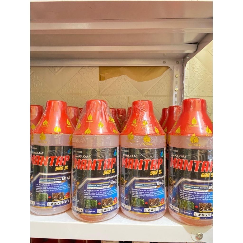 MANTAP 588 SL FREE GRANDALLY