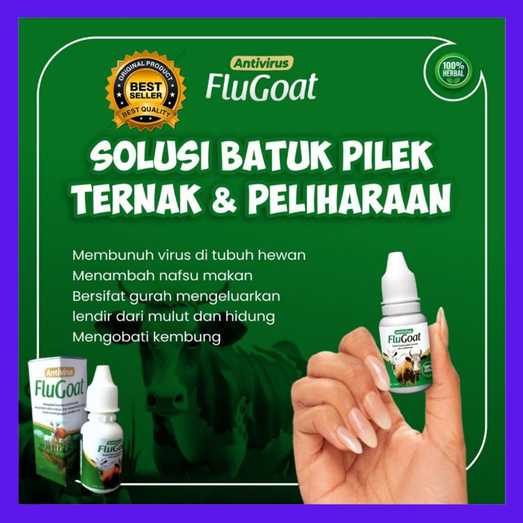TERBAIK  Obat Ayam Flu Batuk, Obat Ayam Flu Dan Ngorok, Obat Ayam Flu Dan Mata Berair