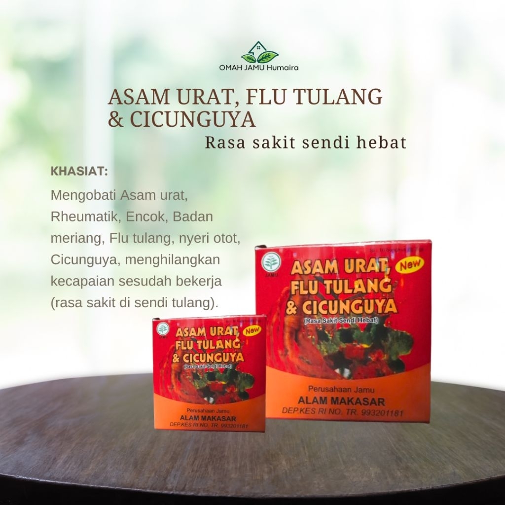 ASAM URAT, FLU TULANG & CICUNGUYA (rasa sakit sendi hebat) alam Makasar