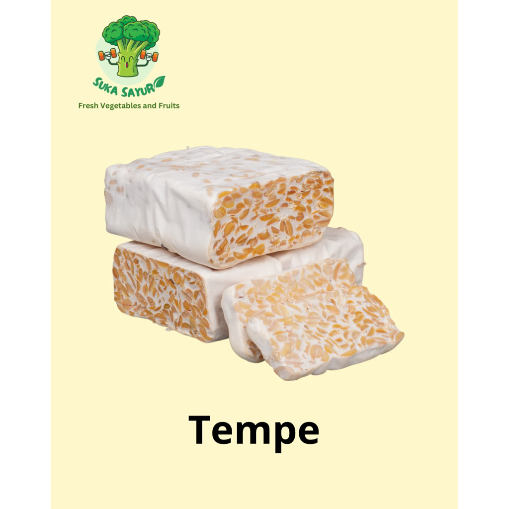 Tempe kedelai Tempe malang