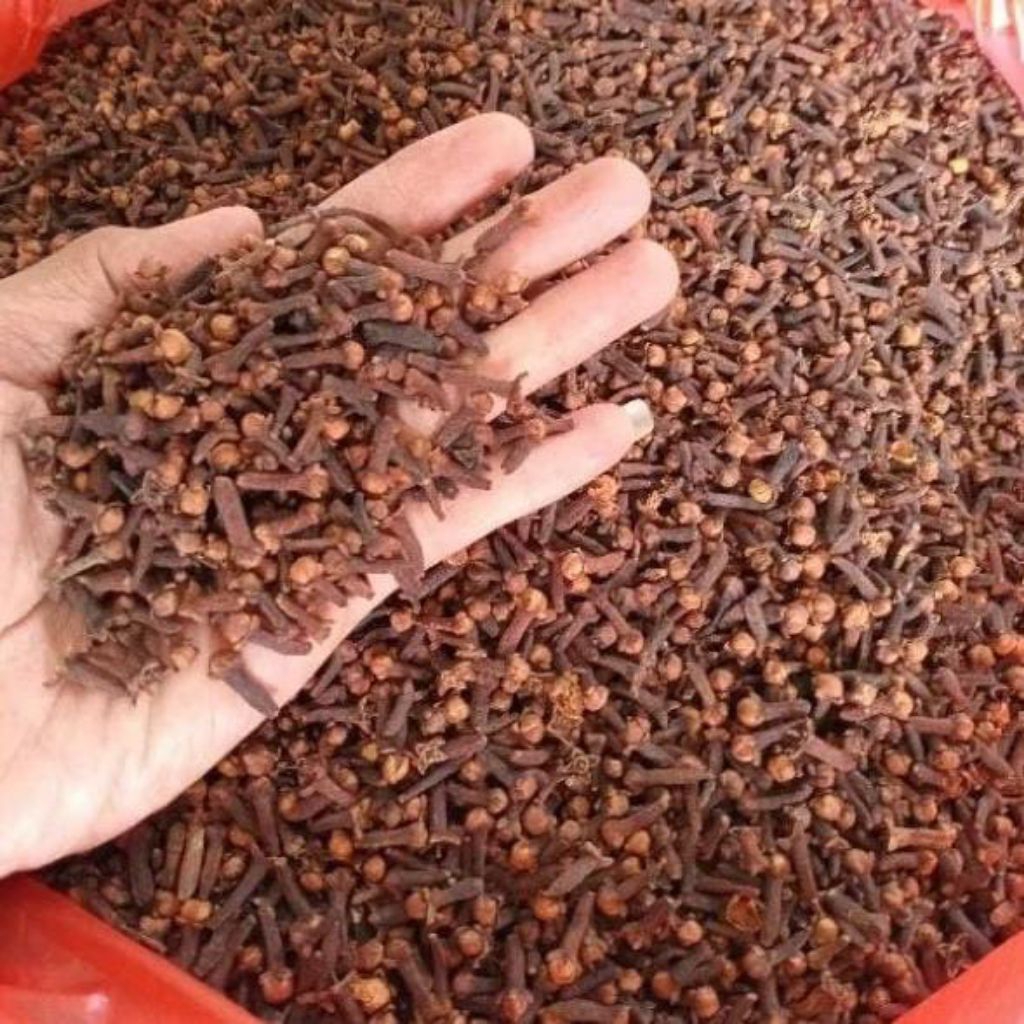 cengkeh kering gunung wilis