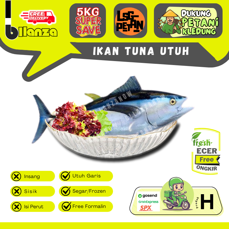 Bllanzanow | Ikan Tuna Segar Utuh / Filet Vacum Premium — Sayur Gunung GROSIR (A)