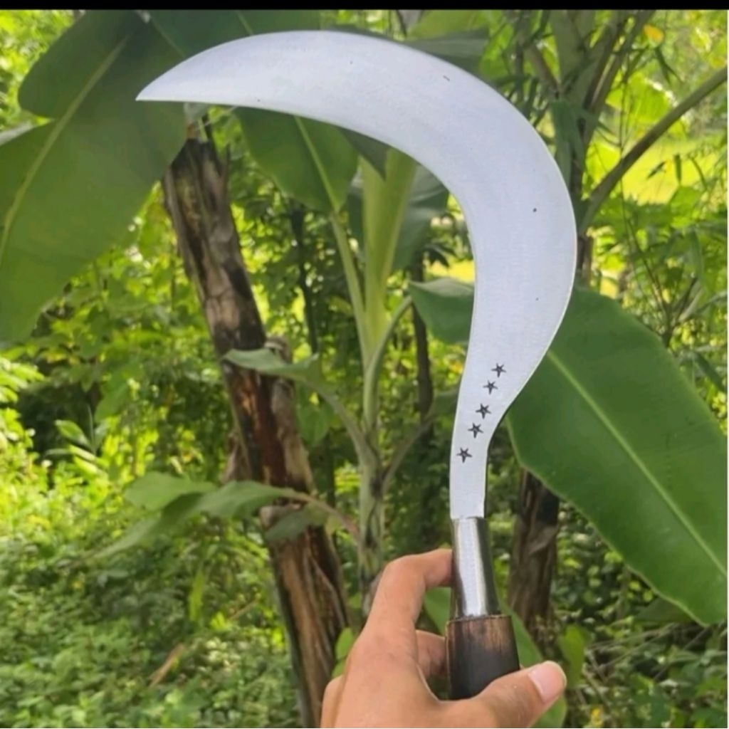 sabit pengaritan cap bintang lima